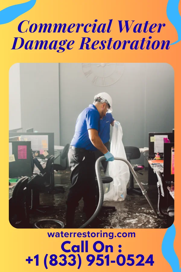 Commercial Water Damage Restoration in Skokomish, WA